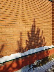 Modern red brick fence with turrets, winter, outdoor, spruce shadow on the wall, Christmas background © clairelucia