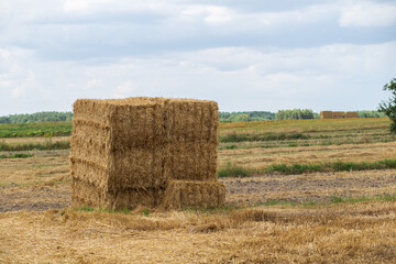 Big sheaf of hay on the field