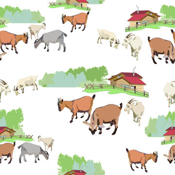 A small herd of cute goats on the background of a country house. Vector image