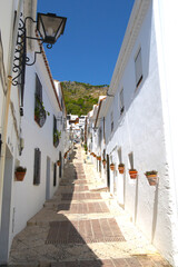 Fototapeta premium Townhouses facades along a typical street, in this white village, Medina Sidonia, Cadiz, Andalusia, Spain