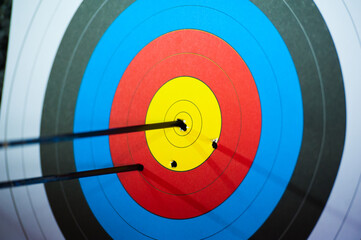 Arrows in archery target on archery range