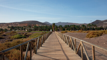Fototapeta na wymiar Wooden boardwalk connecting Jandia salt marsh, an unusual protected natural habitat and Morro Jable lighthouse to the coquette resort in the south of the island of Fuerteventura, Canary Islands, Spain