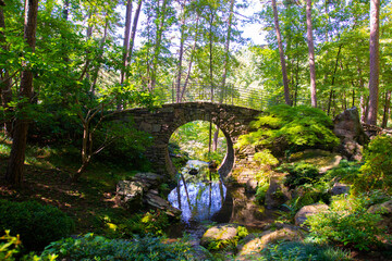 Stone Bridge Crossing River in Meditation Forest