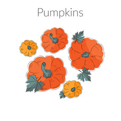 Orange and yellow pumpkins with green leaves, thanksgiving and halloween element, vector illustration