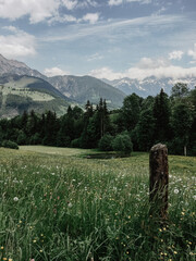 Alm-Wanderung