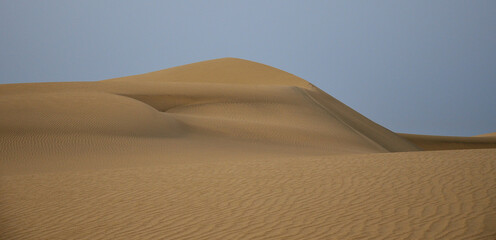 Fototapeta na wymiar Beautiful dune landscape, Maspalomas, coast of Gran Canaria, Canary Islands