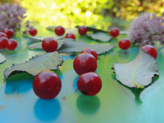 red ripe currants with green leaves on the glass decorated with watercolor.