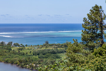 Fototapeta na wymiar view of the coast of tahiti