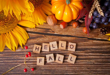 Greeting card with hello fall text. Composition with pumpkin, autumn leaves and berries. Cozy...