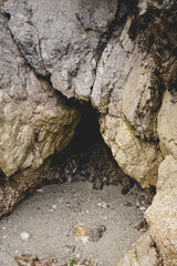 cave in the beach rocks. 