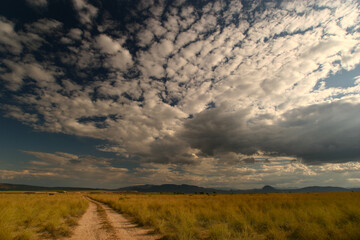 Obraz premium Cielo con nubes medias (altocúmulos) sobre paisaje estepario (espartizal). Cieza, Murcia, España.
