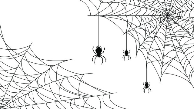 Spider Web On White Background Halloween Design Elements. Spooky Scary Horror Decor Vector