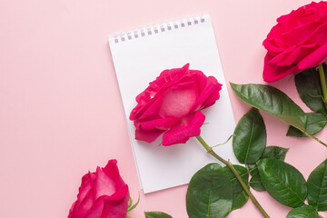 Notebook and dark pink rose on a pink background