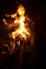 Burning campfire on a dark night in a outdoor