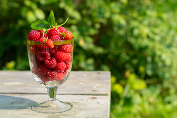 ripe raspberries in a glass on a green background on a Sunny day