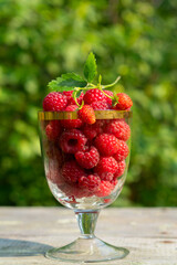 ripe raspberries in a glass on a green background on a Sunny day
