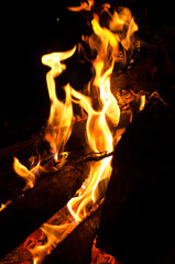 Night campfire in outdoor at the night. Campfire at touristic camp at nature in mountains.