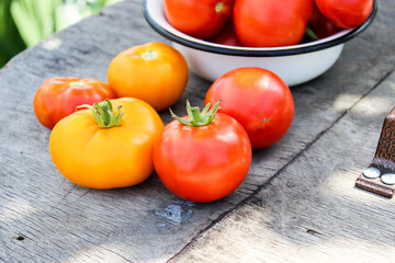 Tomatoes red and yellow in a saucer on a wooden table close up