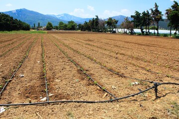 Irrigation system on a field in Attica, Greece, August 2 2019.