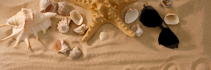 Fototapeta na wymiar Beach background with shells and starfish. Sunglasses in the sand. The concept of rest. View from above. Flat lay.
