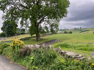 Country lane with dry stone walls, and fields, trees, horses and farm buildings, in the distance, on a cloudy day in, Allerton, Bradford, UK