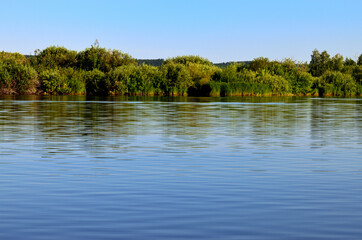 landscape of water ripples and green bushes on the other side