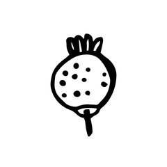 Herbs. Berry. Rosehip. Medicinal doodle ink plant. Black color. Vector illustration isolated on white background. Forest, garden. 