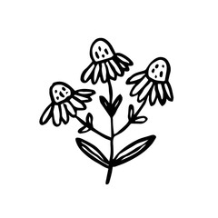 Herbs. Ink plant. Black color. Vector illustration isolated on white background. Little flower.