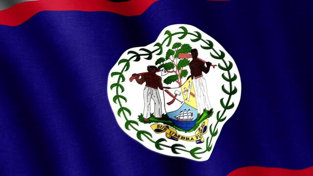 Belize. State flag of the country