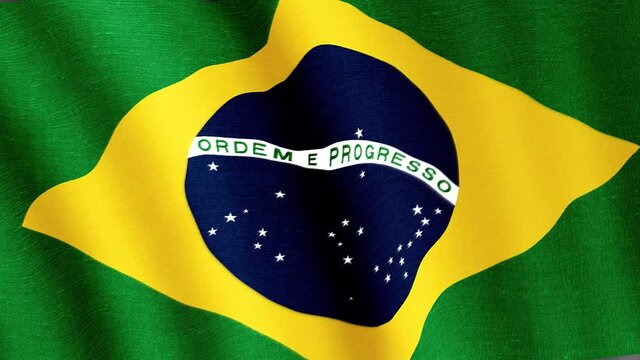 Brazil. State flag of the country
