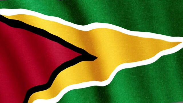 Guyana. State flag of the country
