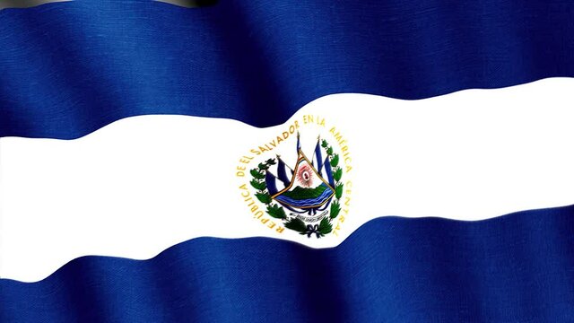 State flag of the country