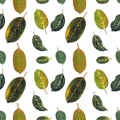 Seamless pattern with leaves on white background Hand draw illustration.