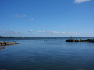 View of a lake in Sweden. There are som rocks and some ducks swimming in the water. The water is calm.