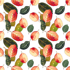 Seamless pattern with red and green leaves on white background Hand draw illustration.