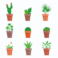 Potted plants and flowers. Cute house plants in flat style. Vector illustration.