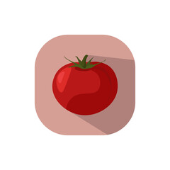 Flat design tomato