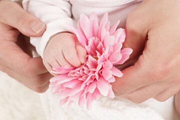 Babyhände mit Blume