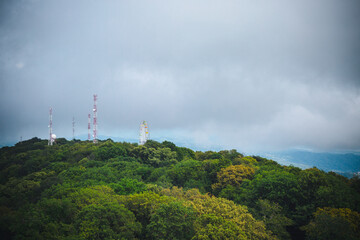 high voltage tower in forest