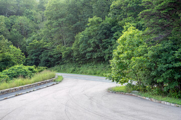 road in the forest