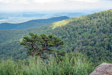 view of the mountains