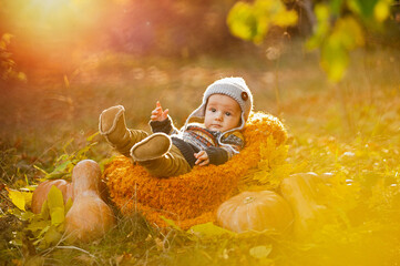 Child boy lies in a basket with pumpkins in autumn leaves.