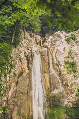 waterfall in the forest