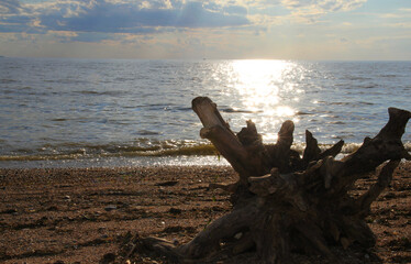 sunset on the beach