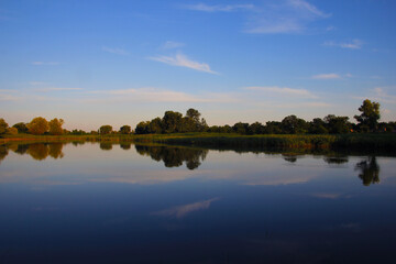 reflection of trees in the water