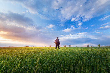 sunset on a green field / a man looks at the sun
