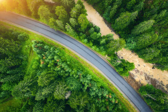 Aerial view of road in beautiful green forest at sunset in summer. Colorful landscape with roadway, pine trees, blurred car and river in Carpatian mountains. Top view of highway. Travel in Ukraine © den-belitsky