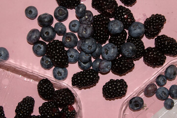 Blueberries and blackberries on a pink background