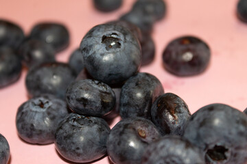 Blueberries on a colored background