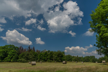 Field with ball of hay in hot summer sunny day near Nemci village